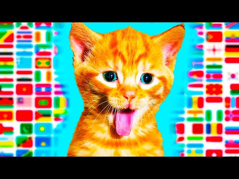 Kitty In Different Languages