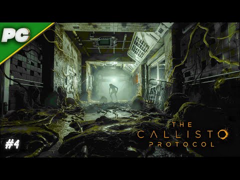 Legacywood and Gamowood King