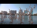 Discover Your Urban In Downtown Orlando
