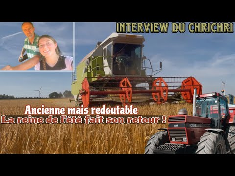 She comes back every year... and always does a great job! 🔥