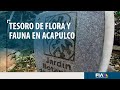 Jardín Botánico De Acapulco Un Tesoro De Flora Y Fauna En El Corazón Del Pacífico