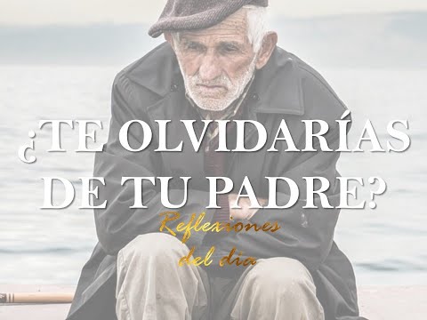 THE HALF BLANKET | Reflection