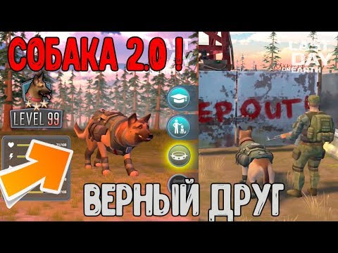 Собака 2.0 ! Совсем скоро у каждого будет верный друг ! Last Day on Earth: Survival
