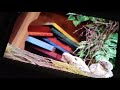 Blue S Clues The Grow Show