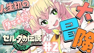【 ゼルダの伝説ティアーズオブザキングダム 】歴女と再会伝説#2【 桃鈴ねね / ホロライブ 】