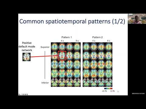 Estimating repetitive spatiotemporal patterns from resting-state brain activity data