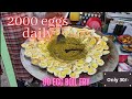 Amazing Boil Egg Fry In Bharuch Indianfood Bharuch Bharuchstreetfood