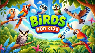 Birds for Kids | Learn About Birds with Fun Facts & Sounds!