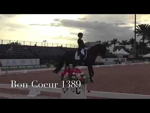 Bon Coeur 1389, Wellington 2020