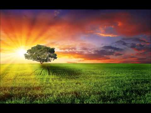 Basti Grub & Komaton ~ Sick