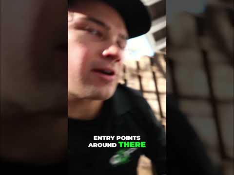 Pest Proof Your Home  Essential Exterior Checks