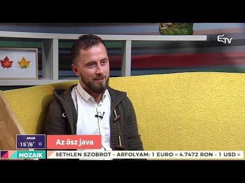 Mozaik: Az ősz java – 2019. október 7.