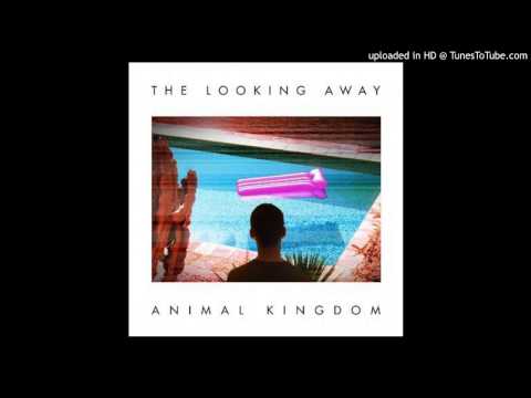 Animal Kingdom - Alone Together