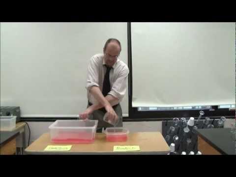 R2.3.1 Outline the characteristics of systems in a state of equilibrium [SL IB Chemistry]