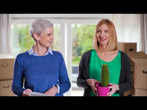 Metz Immobilien YouTube-Vdeominiatur 2