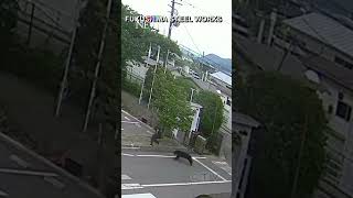 Video thumbnail image