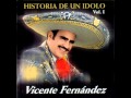 vicente fernandez  morena