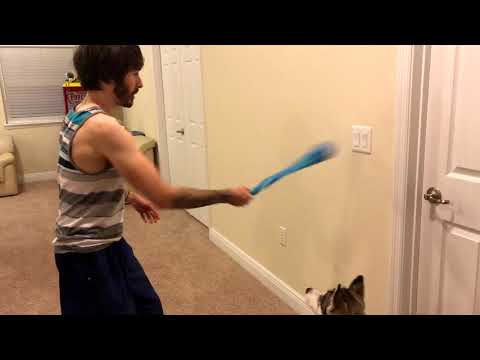 I Got A World Record