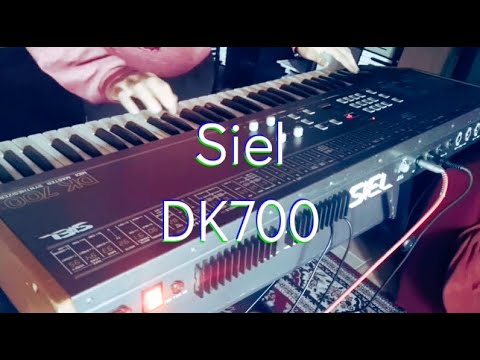 Siel DK700 - Ultra Rare Analog Synth (Collector's Item) + Case ( SERVICED) image 15