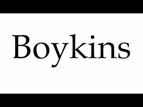 How to Pronounce Boykins