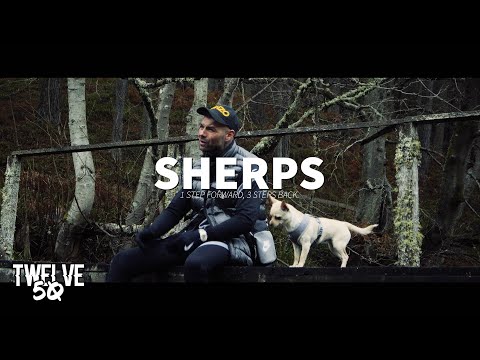 SHERPS - 1 STEP FORWARD, 3 STEPS BACK.