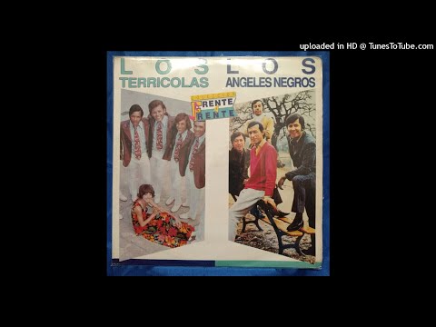 LOS TERRICOLAS Y ANGELES NEGROS MIX
