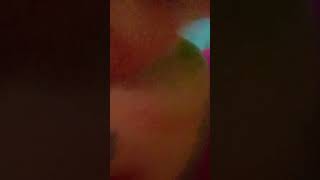 Download lagu sarera rera cio cio - dj vevo bertahta diatas tanah mereka versi japan mp3