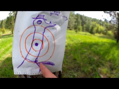 Federal Prairie Storm vs. Fiocchi Golden Pheasant Ammo | TESTED