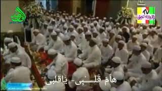 Download lagu Barokah Guru Sekumpul 'HAMA QOLBI' teks arab. Haul Abah Guru Sekumpul. mp3 Download lagu Barokah Guru Sekumpul 'HAMA QOLBI' teks arab. Haul Abah Guru Sekumpul. mp3