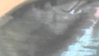 kristinasuekele  slut song slutsong  also  we dont have a universal time zone