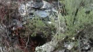 preview picture of video 'FUENTE VAUCLUSIANA DE CARRASCOSA DE LA SIERRA (Cuenca) 3ª PARTE'