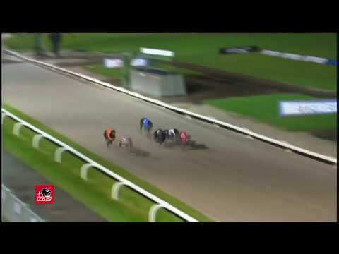 The BGBF/Nottingham British Breeders Stakes - Ht 1 - King Sheeran
