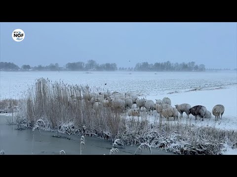 Code oranje in Fryslân, veel sneeuw onderweg