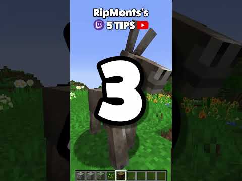 RipMonts - Top 5 Minecraft Building Tips