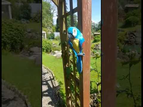 #nature #Vrinda Kund #Beautiful #Natural view