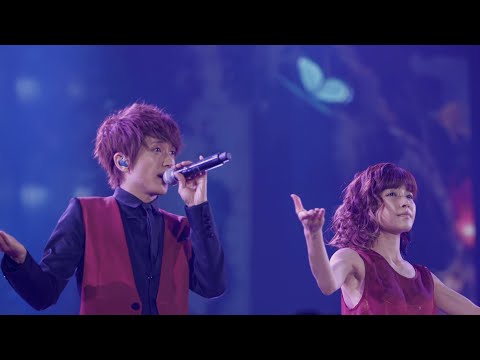 【Premium】AAA - さよならの前に(AAA ARENA TOUR 2014 -Gold Symphony-)