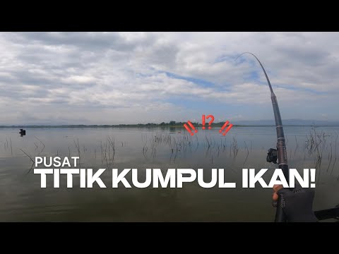 WGM IKAN TERLALU MUDAH, STRIKE BERTUBI-TUBI DI SATU TITIK