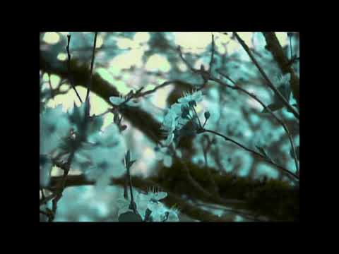 Are You Lying To Your Therapist About Being Sober Again? Yes. (Acoustic)