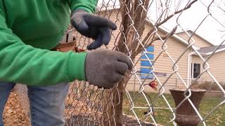 Chain link fence repair. Sometimes it almost feeds itself, sometimes it
