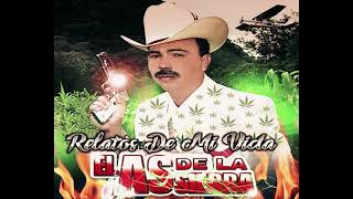 El Compa Cebollo Lyrics English Translation