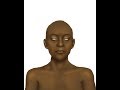 The Face Of Queen Tiye Artistic Reconstruction