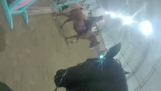 night riding syd