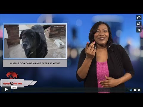 Missing dog comes home after 10 years (ASL - 2.5.18)