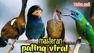 Download lagu MASTERAN PALING VIRAL || TEMBAKAN NGEDURR PANJANG BERJEDAH || cungkok ,cililin ,tembak ,Tengkek Buto mp3