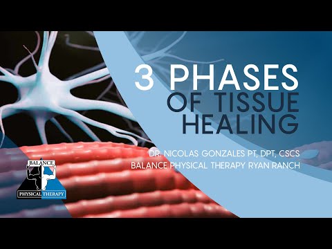 THREE PHASES OF TISSUE HEALING | Balance Physical Therapy