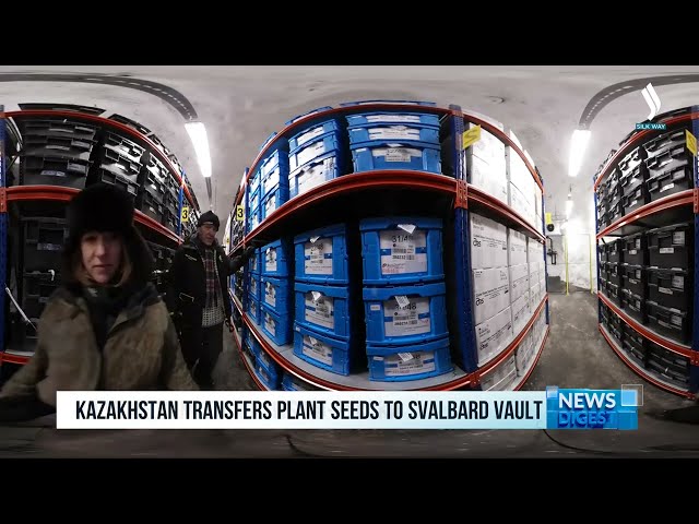 Казакстандын өсүмдүк үрөндөрү Шпицберген кампасына тапшырылды