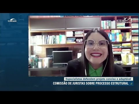 Professores de direito fazem sugestões ao anteprojeto da Lei do Processo Estrutural