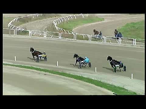 Trotto 01/12/2020 - prova di qualifica