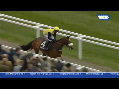 Altior wins the Supreme Novice Hurdle 2016