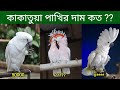 How much does a cockatoo cost? Cockatoo Bird Price In Bangladesh And India | Kakatua Pakhir Dam